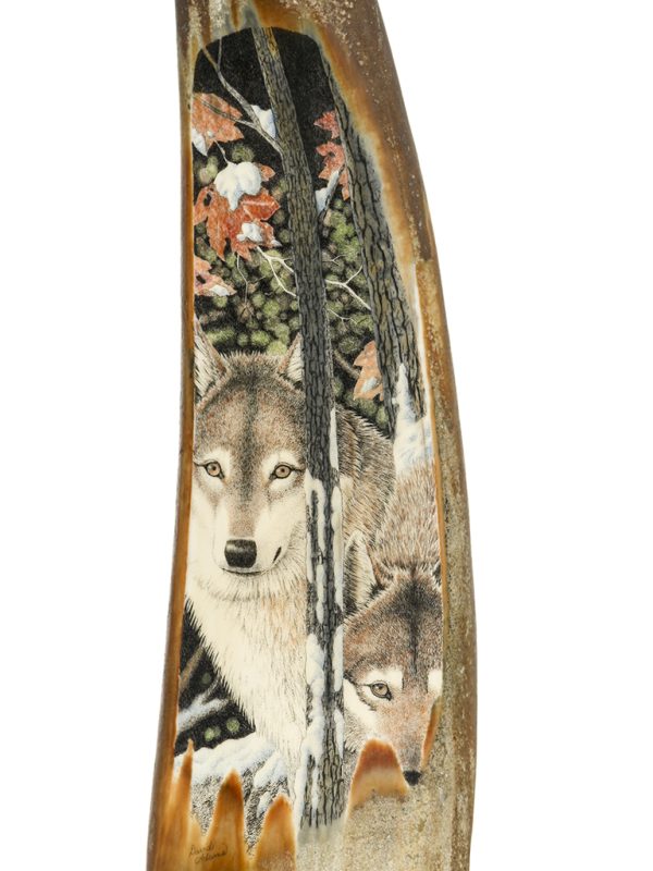 David Adams Scrimshaw - Autumn Wolf