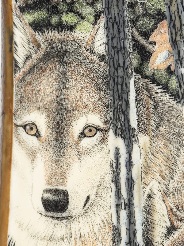 David Adams Scrimshaw - Autumn Wolf