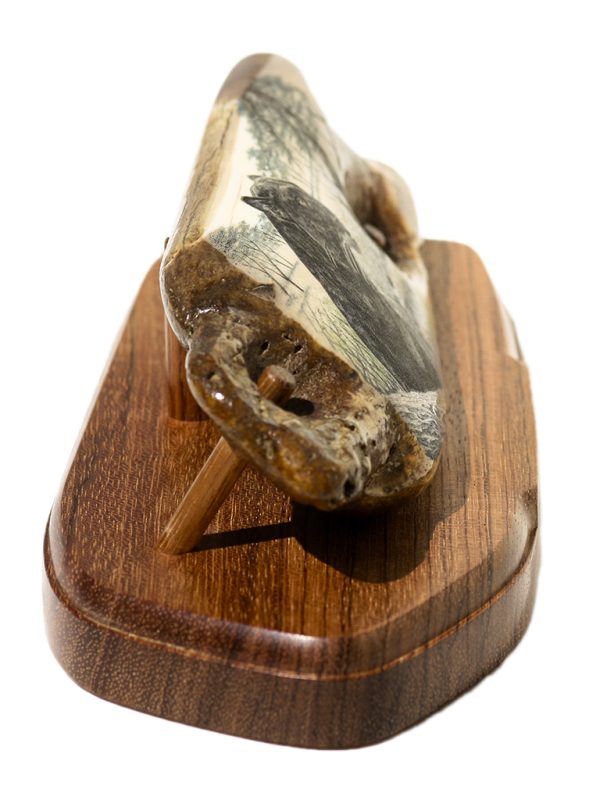 Matt Stothart Scrimshaw - African Black Panther