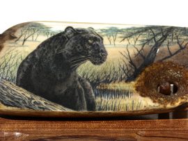 Matt Stothart Scrimshaw - African Black Panther