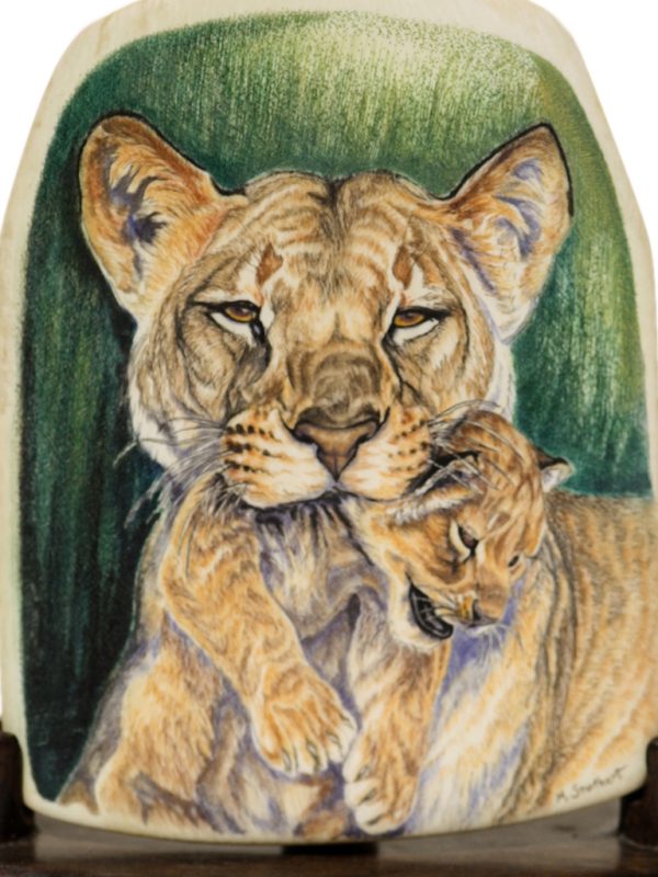 Matt Stothart Scrimshaw - Lion Mother and Cub