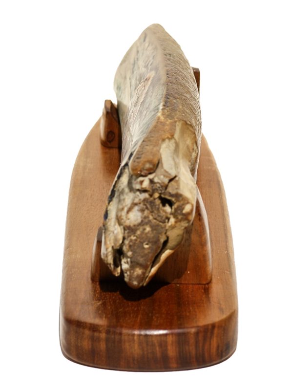 Gary Dorning Scrimshaw - King of the Serengeti