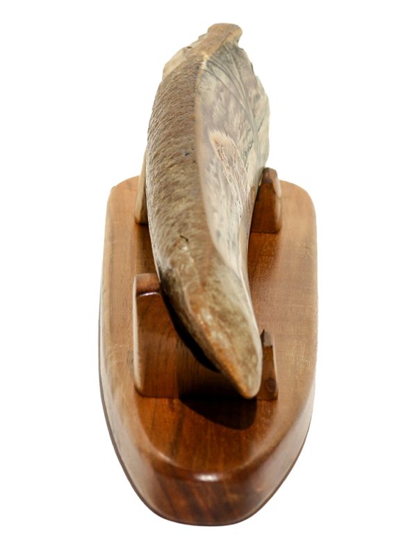 Gary Dorning Scrimshaw - King of the Serengeti