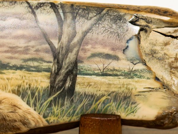 Gary Dorning Scrimshaw - King of the Serengeti