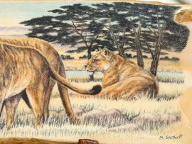 Matt Stothart Scrimshaw - Serengeti Scene