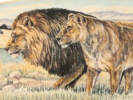 Matt Stothart Scrimshaw - Serengeti Scene