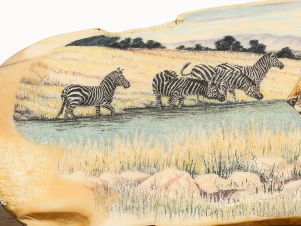 Matt Stothart Scrimshaw - Serengeti Scene