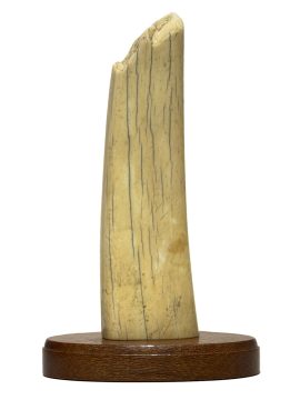David Adams Scrimshaw - Cliff Dwellers