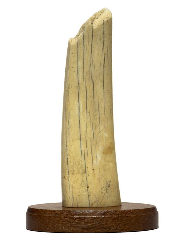 David Adams Scrimshaw - Cliff Dwellers