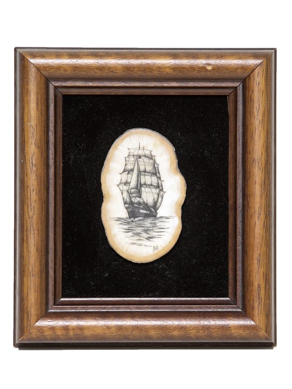 Steve Williams Scrimshaw - China Tea Clipper