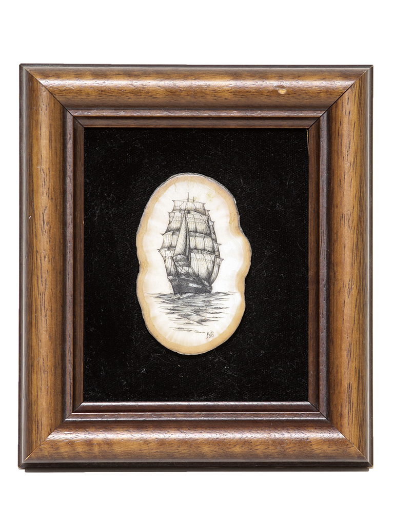 Steve Williams Scrimshaw - China Tea Clipper