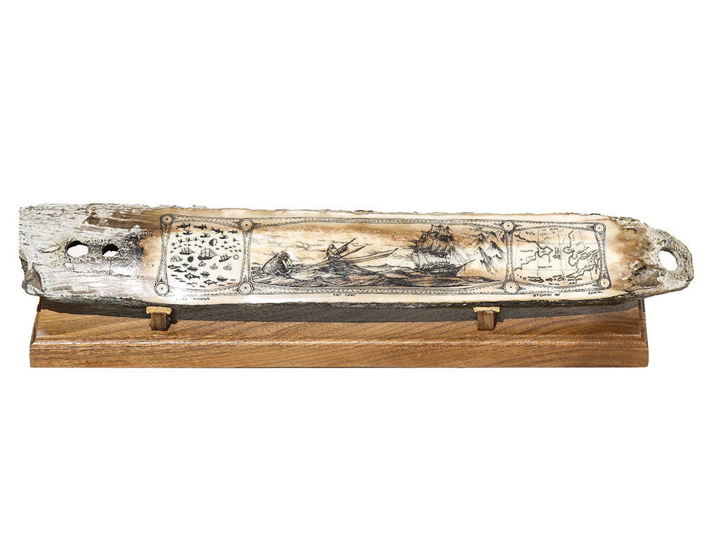 Gregg Olson Scrimshaw - Scrimshaw Collector