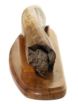 David Adams Scrimshaw - King of the Mountains