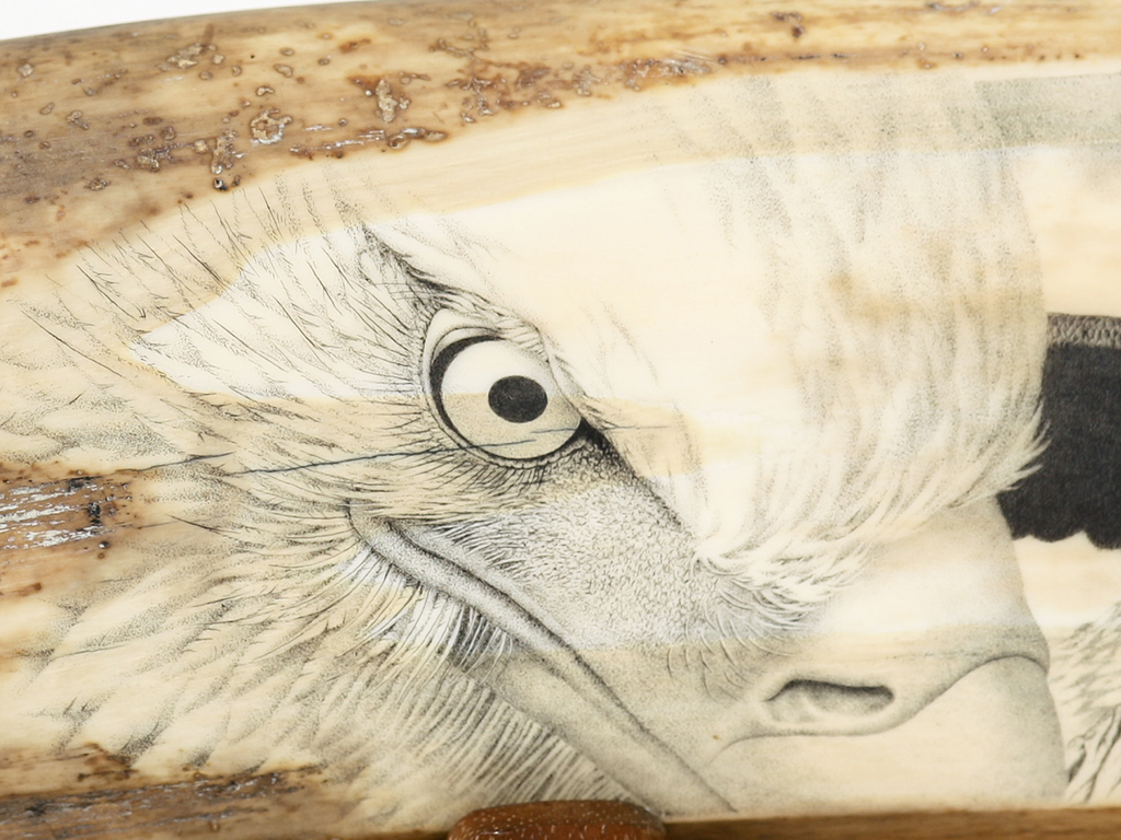 David Adams Scrimshaw - King of the Mountains