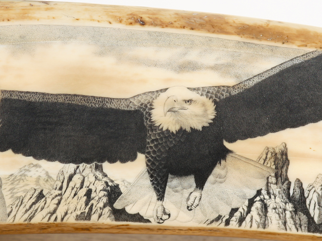 David Adams Scrimshaw - King of the Mountains
