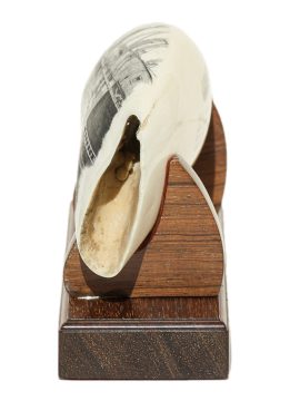 Gerry Dupont Scrimshaw - Caulkers on the Sunbeam - Scrimshaw Collector