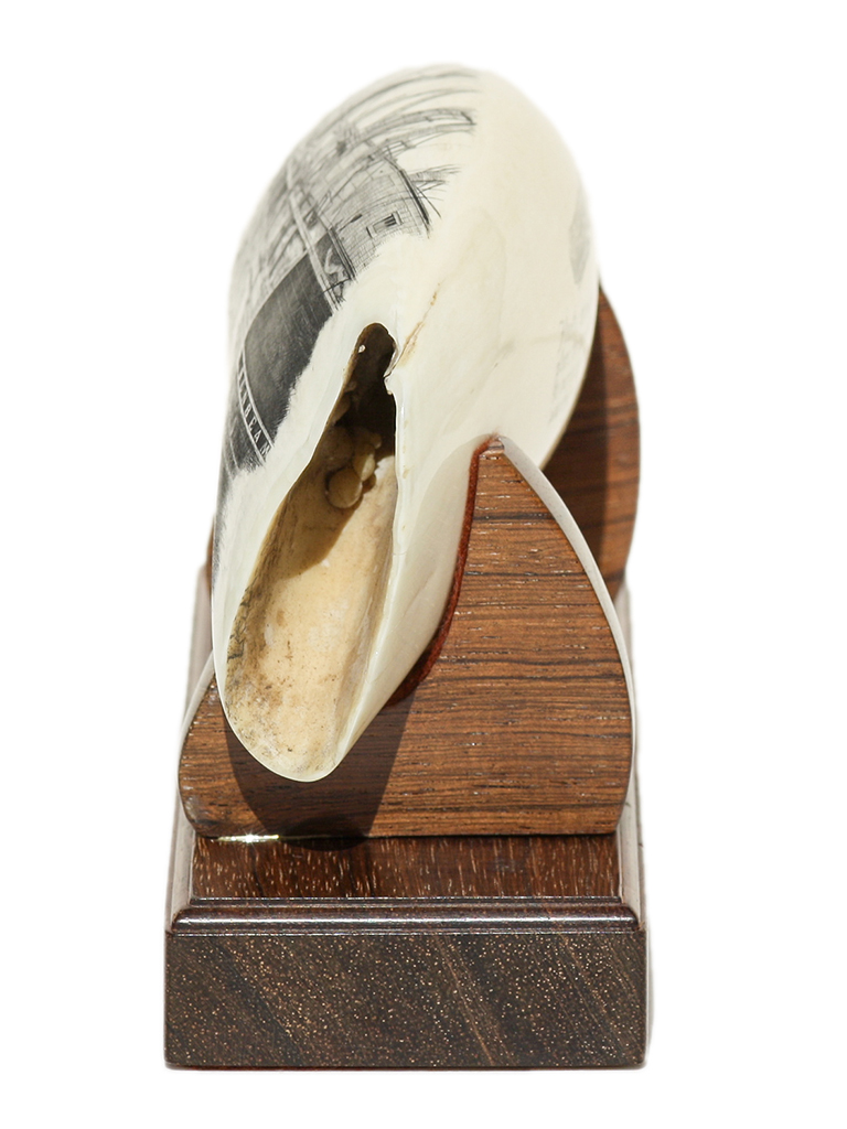 Gerry Dupont Scrimshaw - Caulkers on the Sunbeam - Scrimshaw Collector