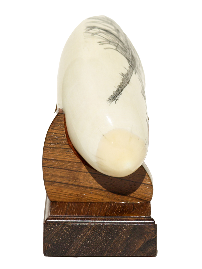 Gerry Dupont Scrimshaw - Caulkers on the Sunbeam - Scrimshaw Collector