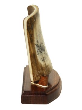 David Adams Scrimshaw - KRAKEN 1 SHIP 0