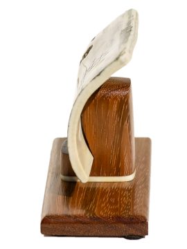 Gerry Dupont Scrimshaw - Whaleship, Wanderer, Stranded on the Rocks of Cuttyhunk Island, 1924