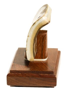 Gerry Dupont Scrimshaw- Medium Clipper Southern Cross Leaving Boston Harbor - Scrimshaw Collector