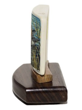 Matt Stothart Scrimshaw - Woodduck Portrait