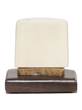 Matt Stothart Scrimshaw - Woodduck Portrait