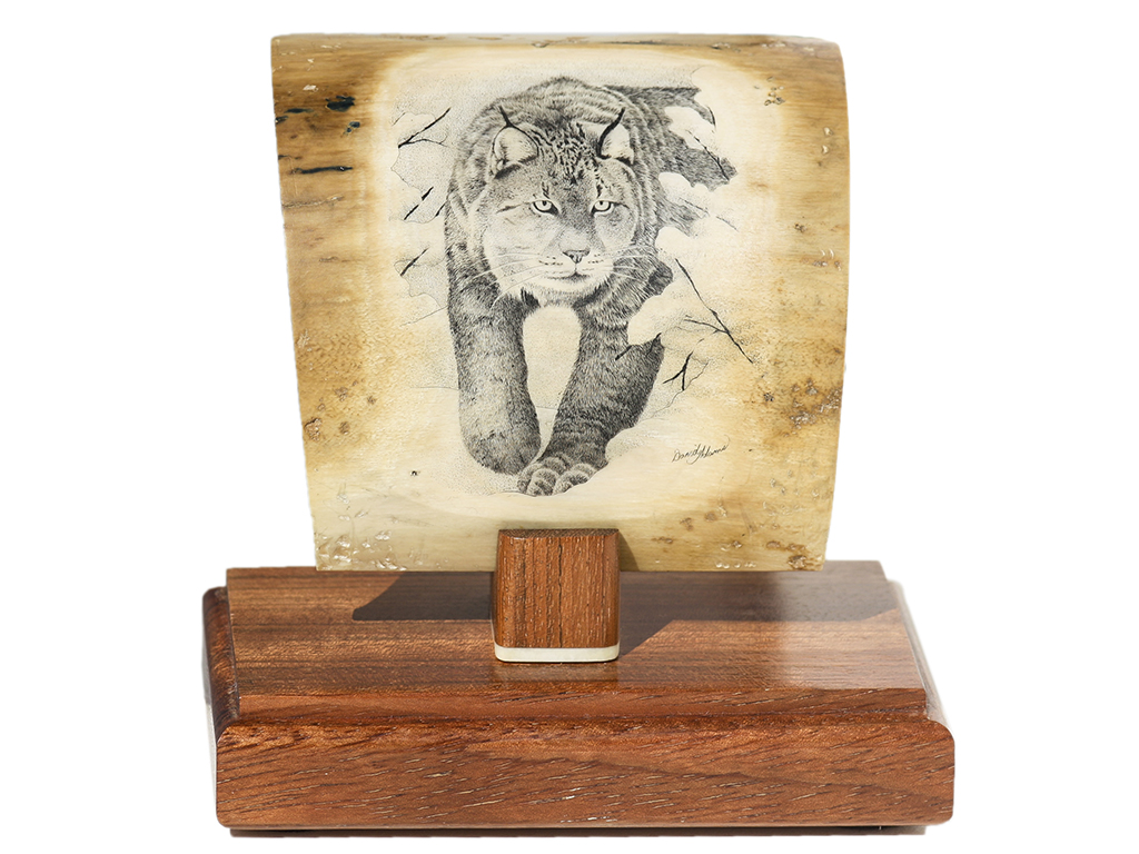 David Adams Scrimshaw - Lynx on the Prowl