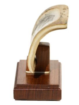 David Adams Scrimshaw - Lynx on the Prowl