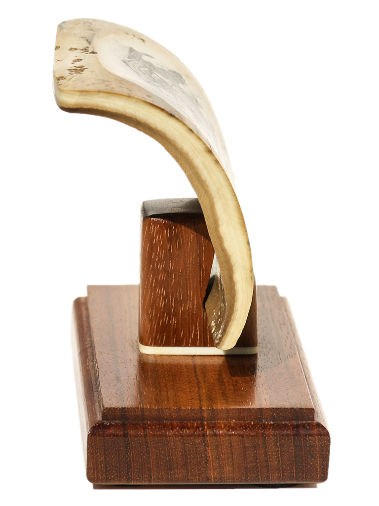 David Adams Scrimshaw - Lynx on the Prowl