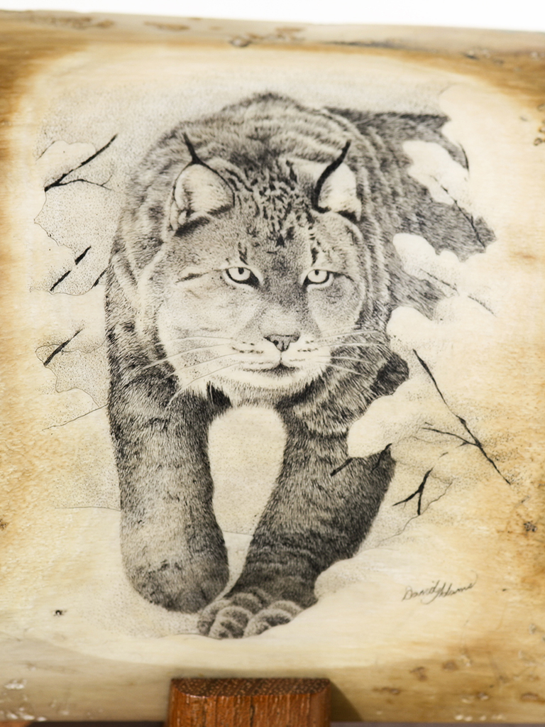 David Adams Scrimshaw - Lynx on the Prowl