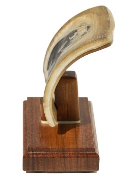 David Adams Scrimshaw - Charging Grizzly!