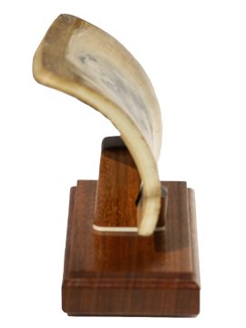 David Adams Scrimshaw - Charging Grizzly!