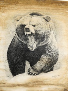 David Adams Scrimshaw - Charging Grizzly!