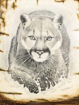 David Adams Scrimshaw - Cougar Splashin