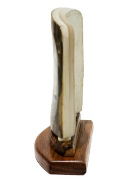 David Adams Scrimshaw - BLUENOSE II