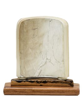 David Adams Scrimshaw - BLUENOSE II