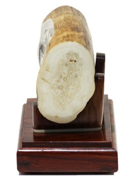 David Admas Scrimshaw - Battle of the Ironclads - 1862