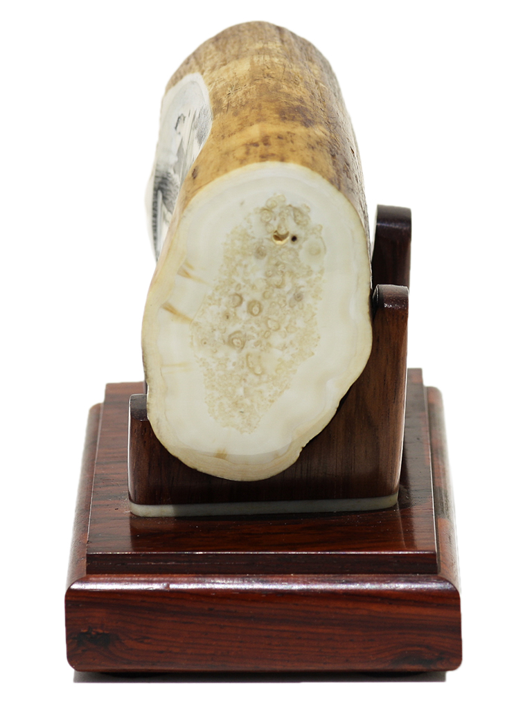 David Admas Scrimshaw - Battle of the Ironclads - 1862