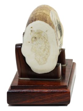 David Admas Scrimshaw - Battle of the Ironclads - 1862