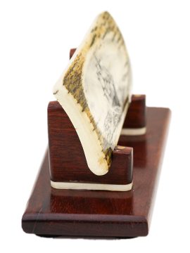David Adams Scrimshaw - Gale Force Seas