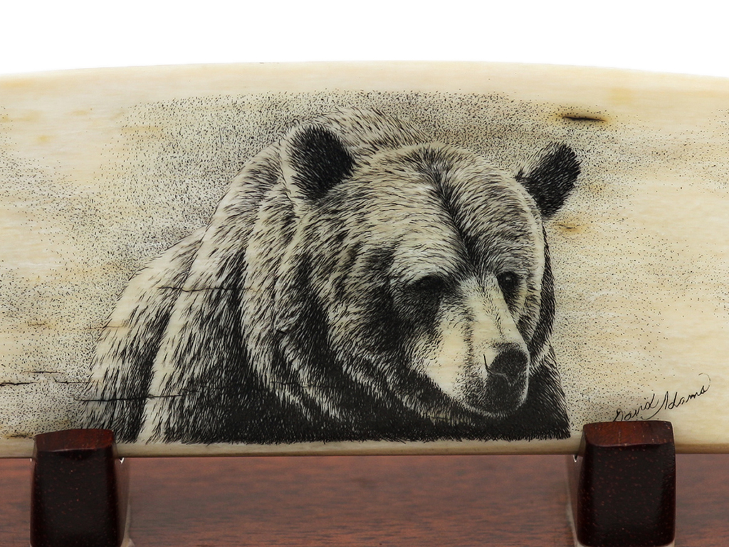 David Adams Scrimshaw - Grizzly on the Prowl