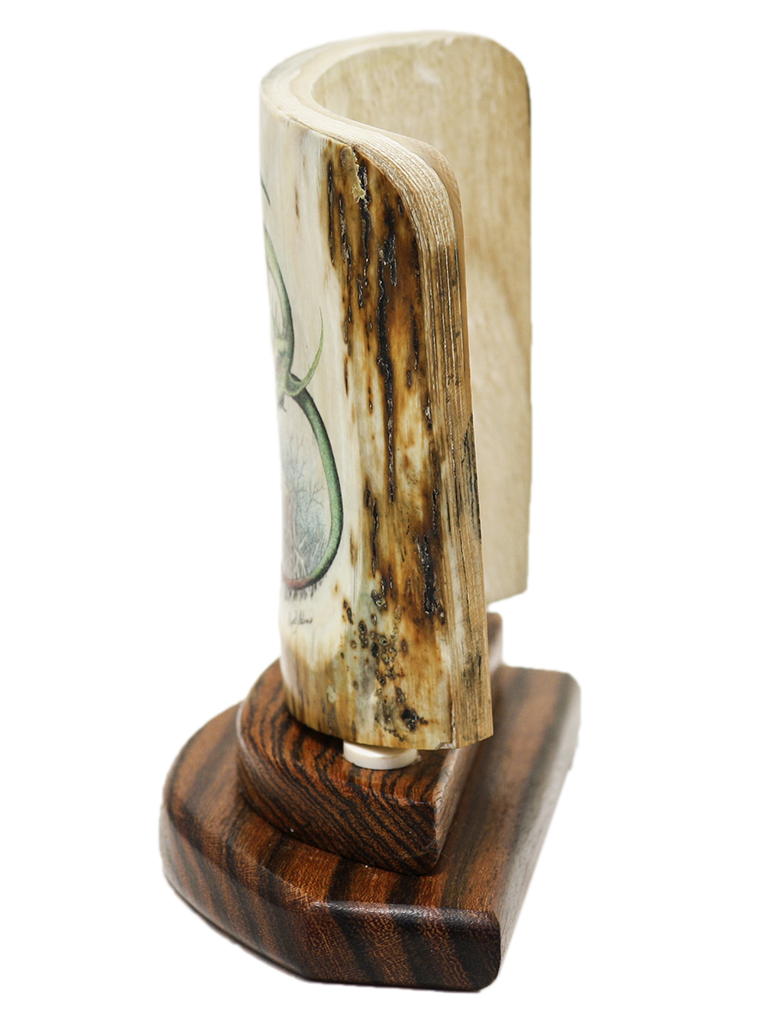 David Adams Scrimshaw - Dragon Nest with Eggs