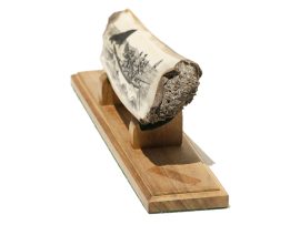 Dan Cronan Scrimshaw - A Dead Whale or a Stove Boat