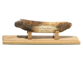 Dan Cronan Scrimshaw - A Dead Whale or a Stove Boat