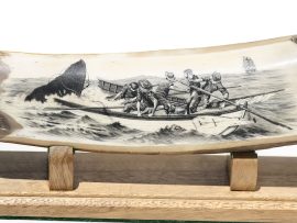 Dan Cronan Scrimshaw - A Dead Whale or a Stove Boat