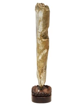 Kelly Mulford Scrimshaw - Wanderer at Sea