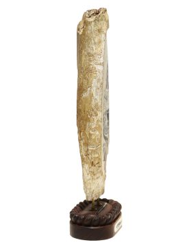 Kelly Mulford Scrimshaw - Wanderer at Sea