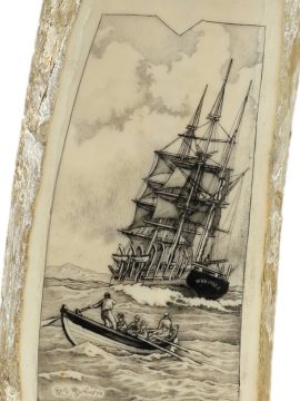 Kelly Mulford Scrimshaw - Wanderer at Sea