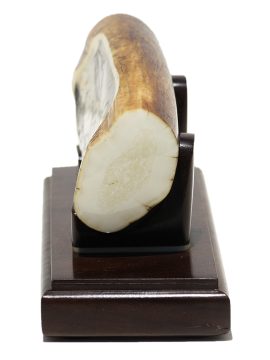 David Adams Scrimshaw - Captain Nemo's Nautilus